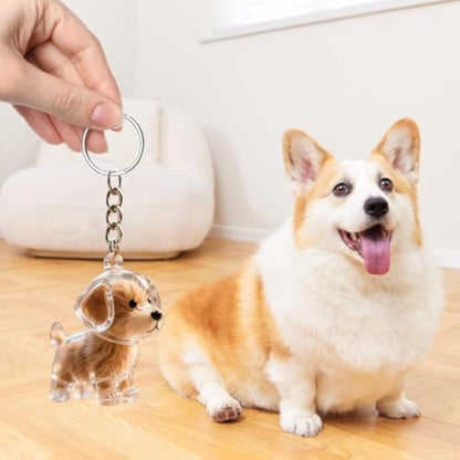 Dog and Cat Hair Storage Decorative Souvenir Keychain Pendant Pet Souvenir, Pet Lover Gift
