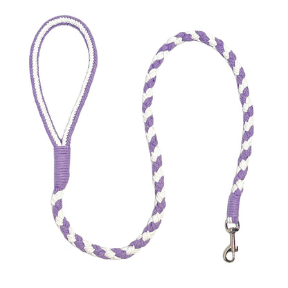 Purple White Dog Leash