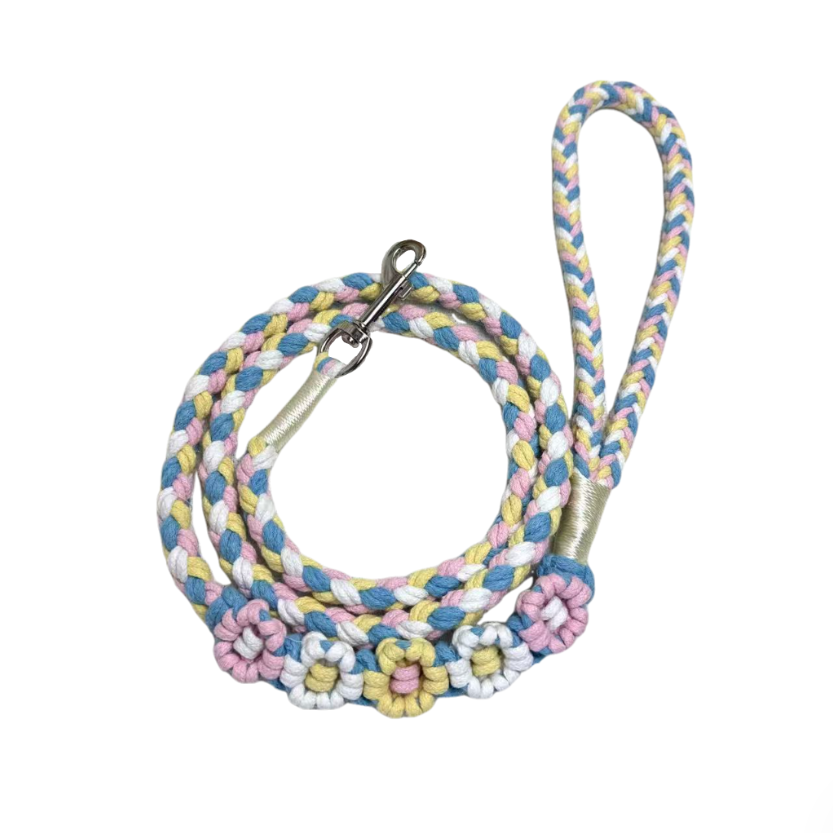 Five Flowers Rope Dog Leash (Blue and Pink)