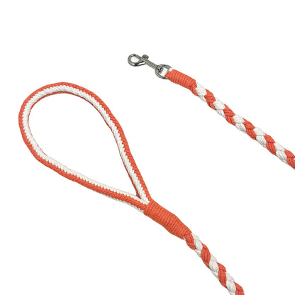 Orange White Dog Leash