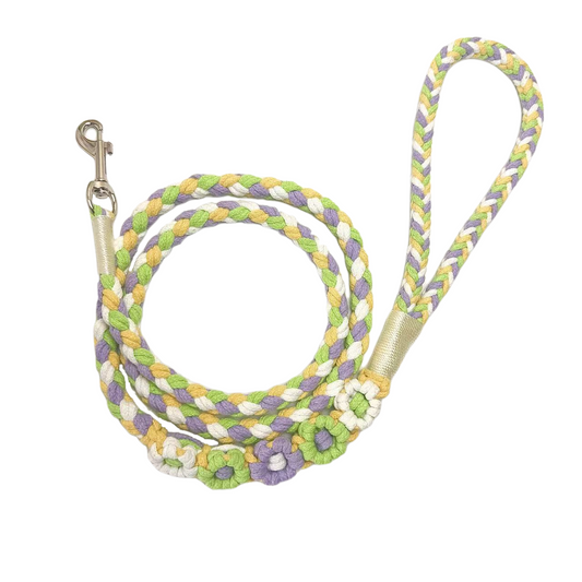 Five Flowers Rope Dog Leash (Green and Yellow)