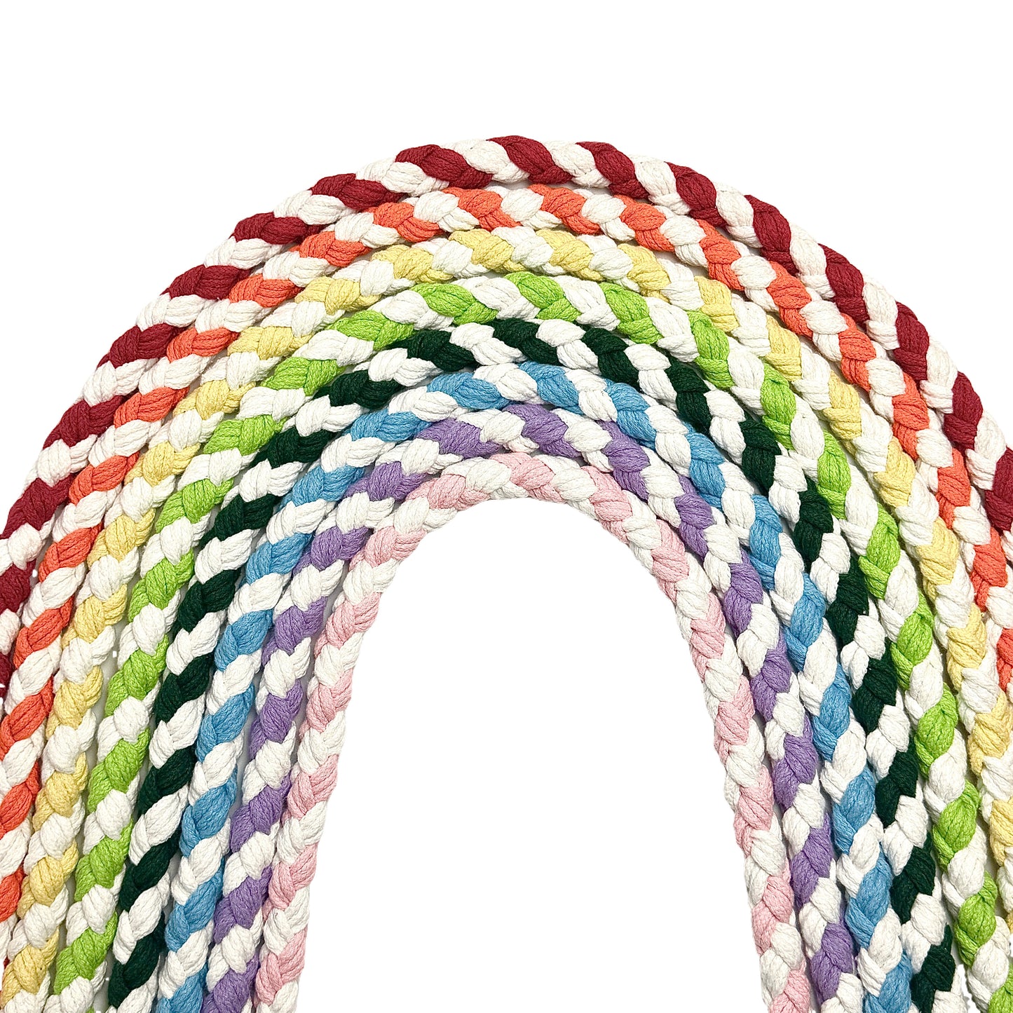 Yellow White Dog Leash