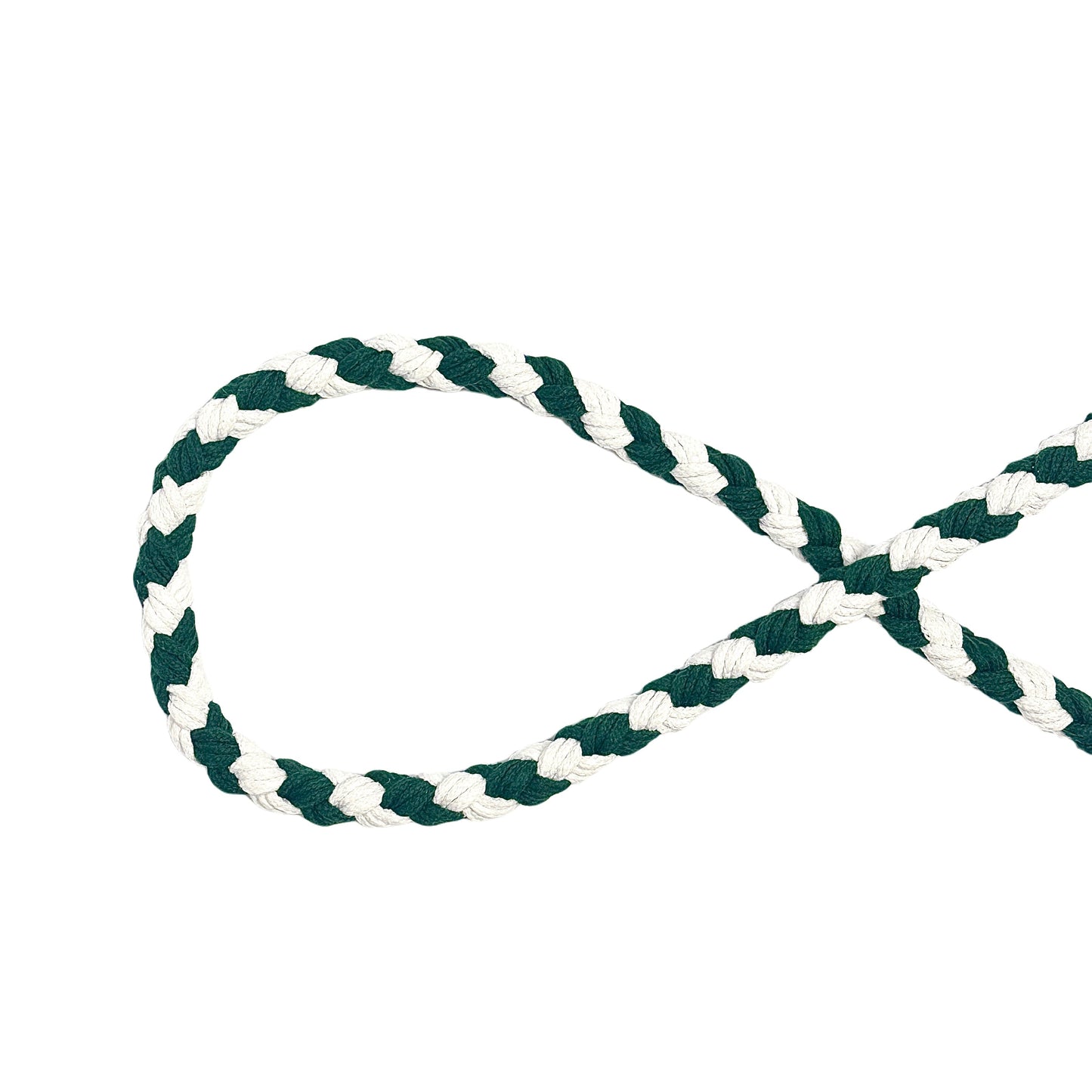 Cyan White Dog Leash