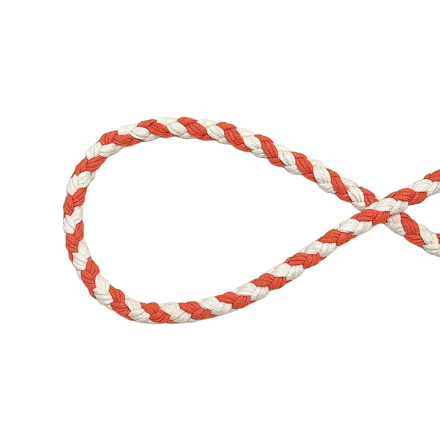 Orange White Dog Leash