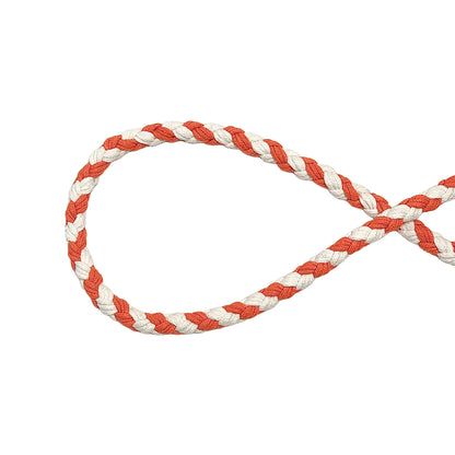 Orange White Dog Leash