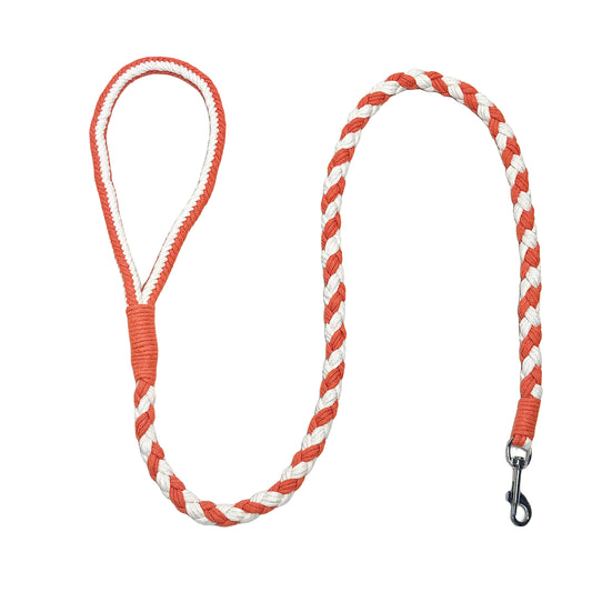 Orange White Dog Leash