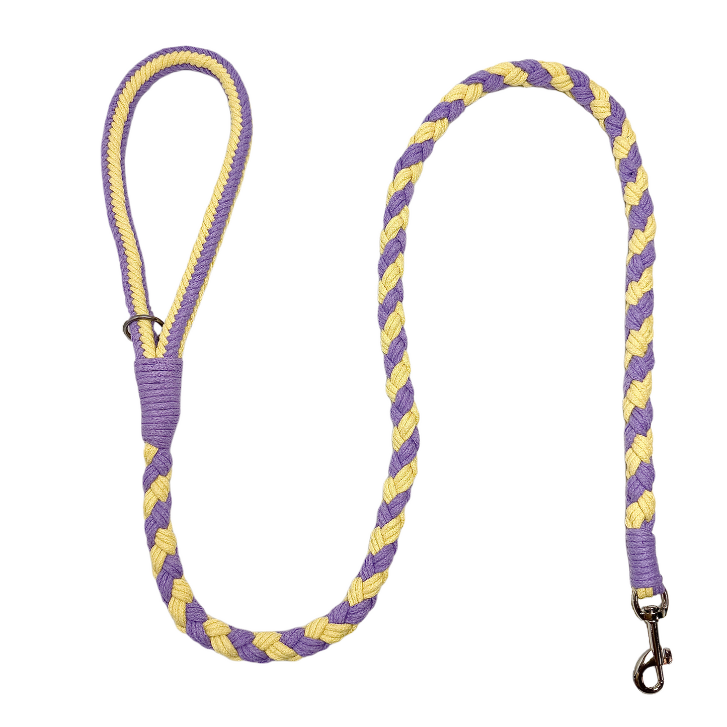 Purple Yellow Dog Leash